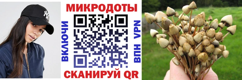 Галлюциногенные грибы ЛСД  Болгар 